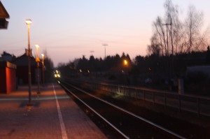 IMG_3429